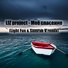 LIZ project