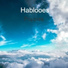 Hablooes