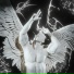 Kryd, Enmity