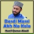 Hanif Qamar Abadi