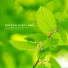 Tea Notes