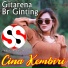 Gitarena br Ginting