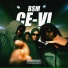 BSM
