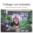 Thiago Mascotas
