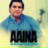 Salman Amjad Amanat Ali Khan
