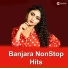 Satish N Ade, Nishigandha Komte