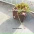 Serene Soundscapes