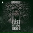 Hammer of The Last Two feat. Kwaw Kese, Worlasi