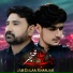 Syed Mehdi Raza Naqvi