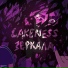 LakeNeSS