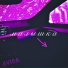 SVISA