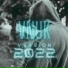 Vnuk