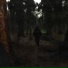 veinfear