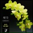tyler(r3in)