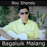 Boy Shandy