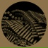 Ottodox
