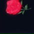 Prettyheartbreak