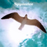The Dove feat. Amadokazi Ukubonga