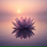 Velune, Mindfulness Meditation Universe