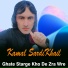 Kamal SardiKhail