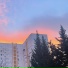 constsad, Melskoy, sinalyx