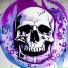 XSHROSLER, SHIEWER SL