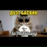 ДУЭТ БАСВИК