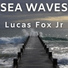Lucas Fox Jr