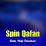 Sadiq Wafa Chamkani