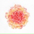 The Pleroma