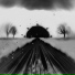 MADNORTH