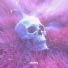 VDOOVX, skywhexx