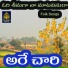 Shankar Babu
