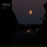 Sörus