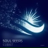 Soul Seers