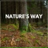 The Nature Soundscapes