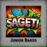 Junior Bakos