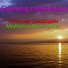 Meditation Music Zone, Алексей Смородин
