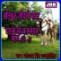 Jorawar Singh Rajpurohit