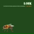 Loik, Johannes Geiss