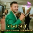 Vlad Stef