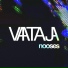Vaataja