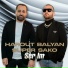 Harout Balyan