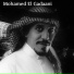 Mohamed El Gadaani