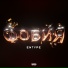ENTYPE