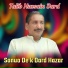 Talib Hussain Dard