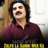 Sadiq Afridi
