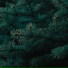 YJKL, Lofi Alumni