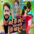 Anil Yadav