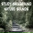 Field Notes Collective